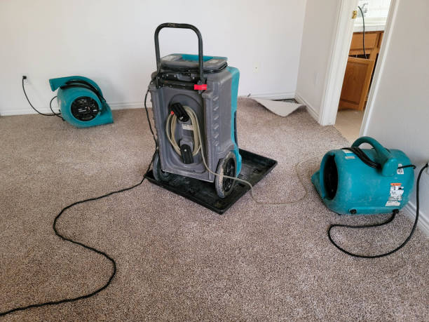 Best Flood damage cleanup  in Bernardsville, NJ