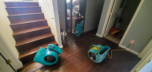 Best Basement water damage restoration  in Bernardsville, NJ