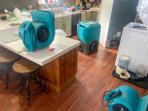 Best Mold removal after water damage  in Bernardsville, NJ