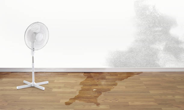 Best 24/7 water damage repair  in Bernardsville, NJ