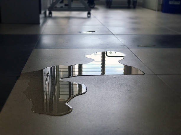 Best Local water damage restoration  in Bernardsville, NJ