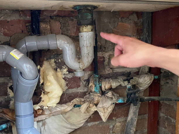 Best Sewage cleanup and water damage restoration  in Bernardsville, NJ